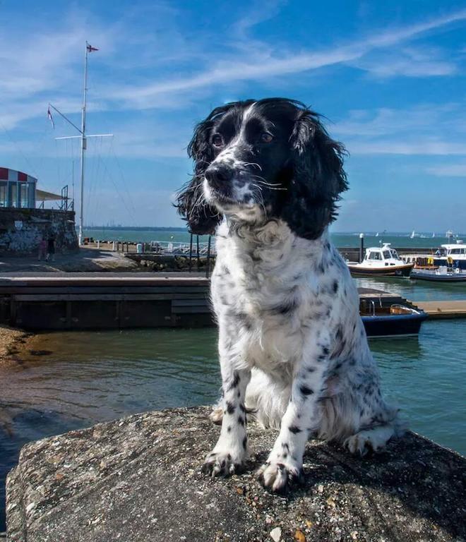 Gray'S Inn Cowes  Esterno foto